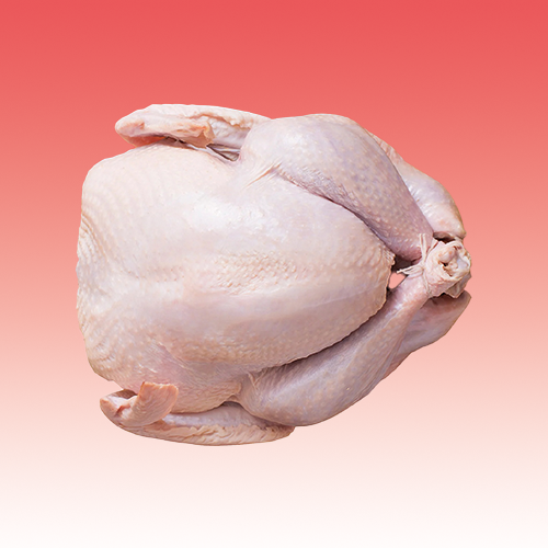 Frozen Turkey