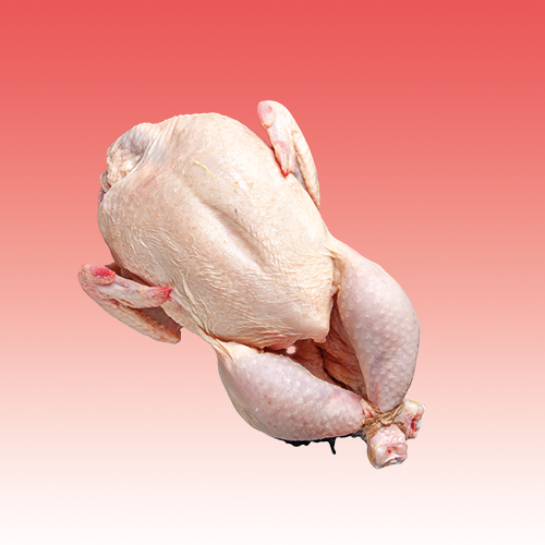Frozen Chicken