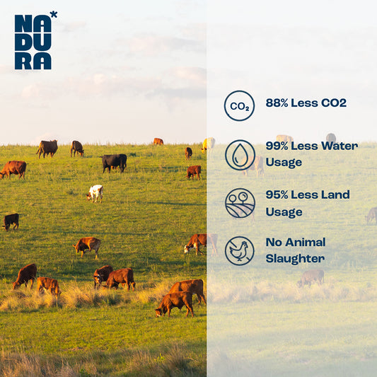 Nadura High Protein Chicken Free Tandoori Kebab Frozen 1kg