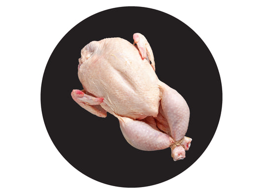 Chicken, Turkey & Duck