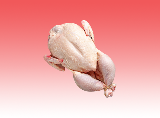Poultry