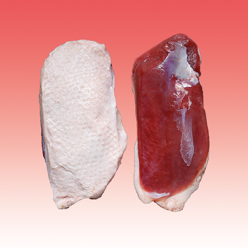 Frozen Duck