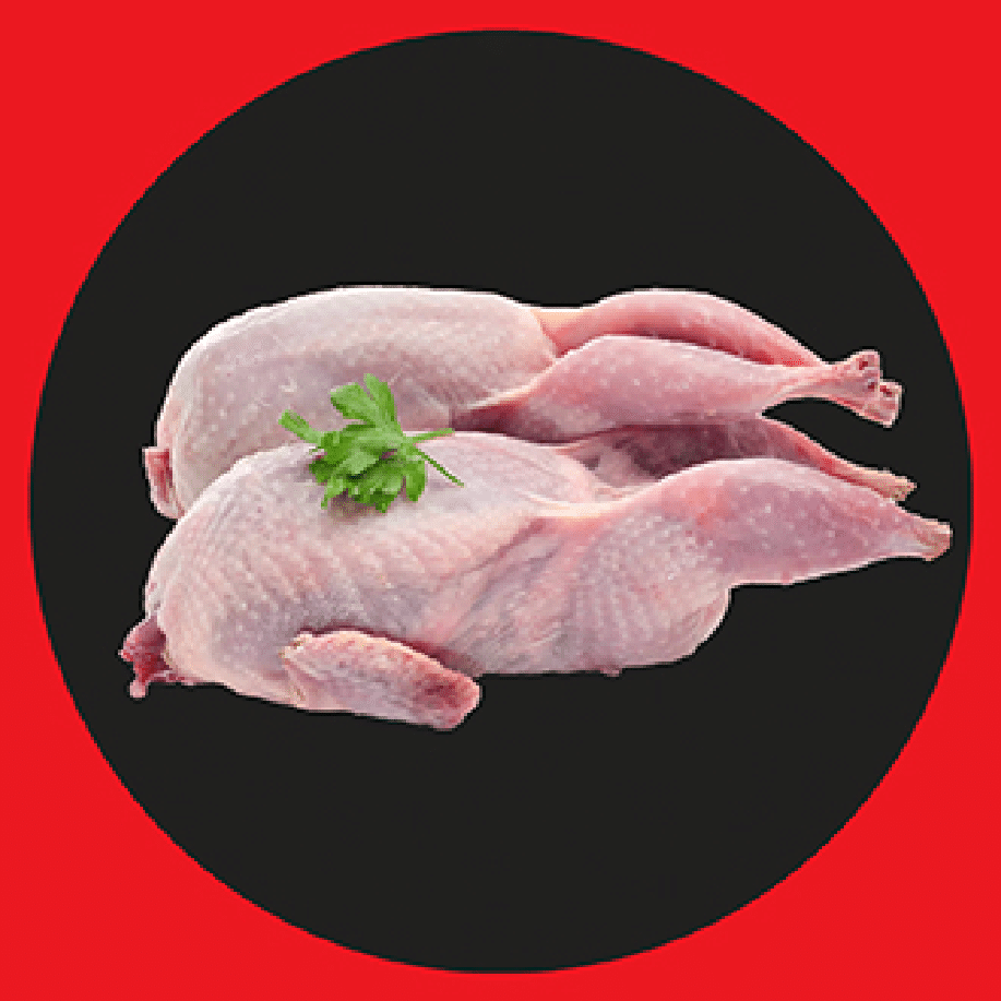 Frozen Quail