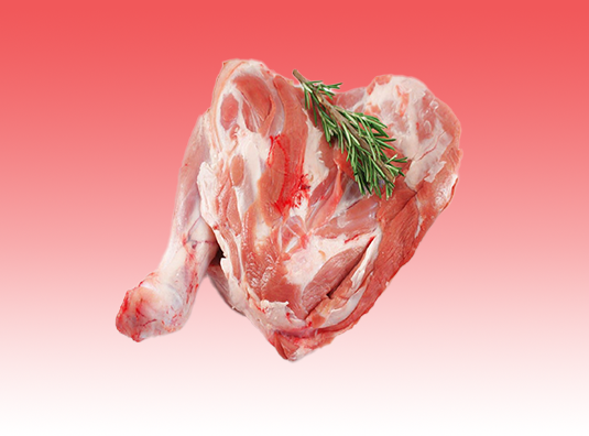 Lamb