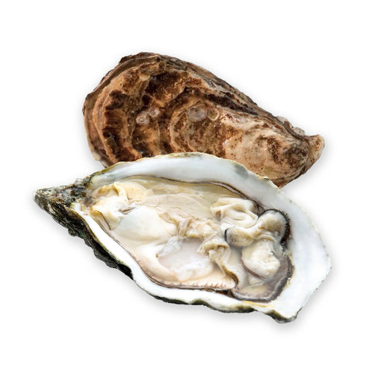 Frozen Half Shell Oysters 500g (11-13 Pieces)