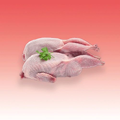 Frozen Quail