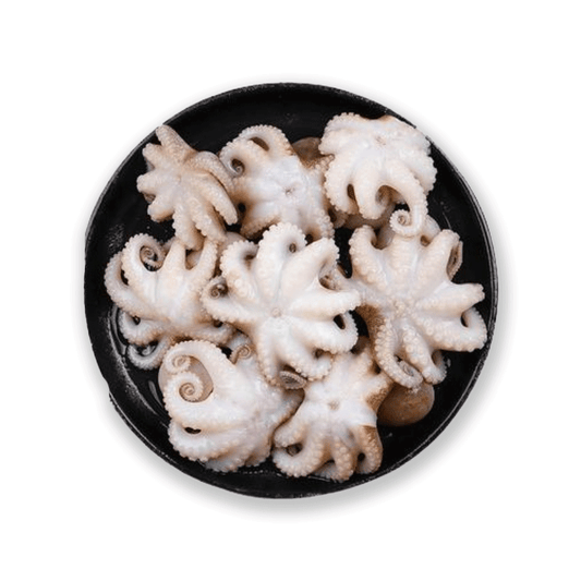 Baby Octopus Whole Frozen Cleaned 1kg